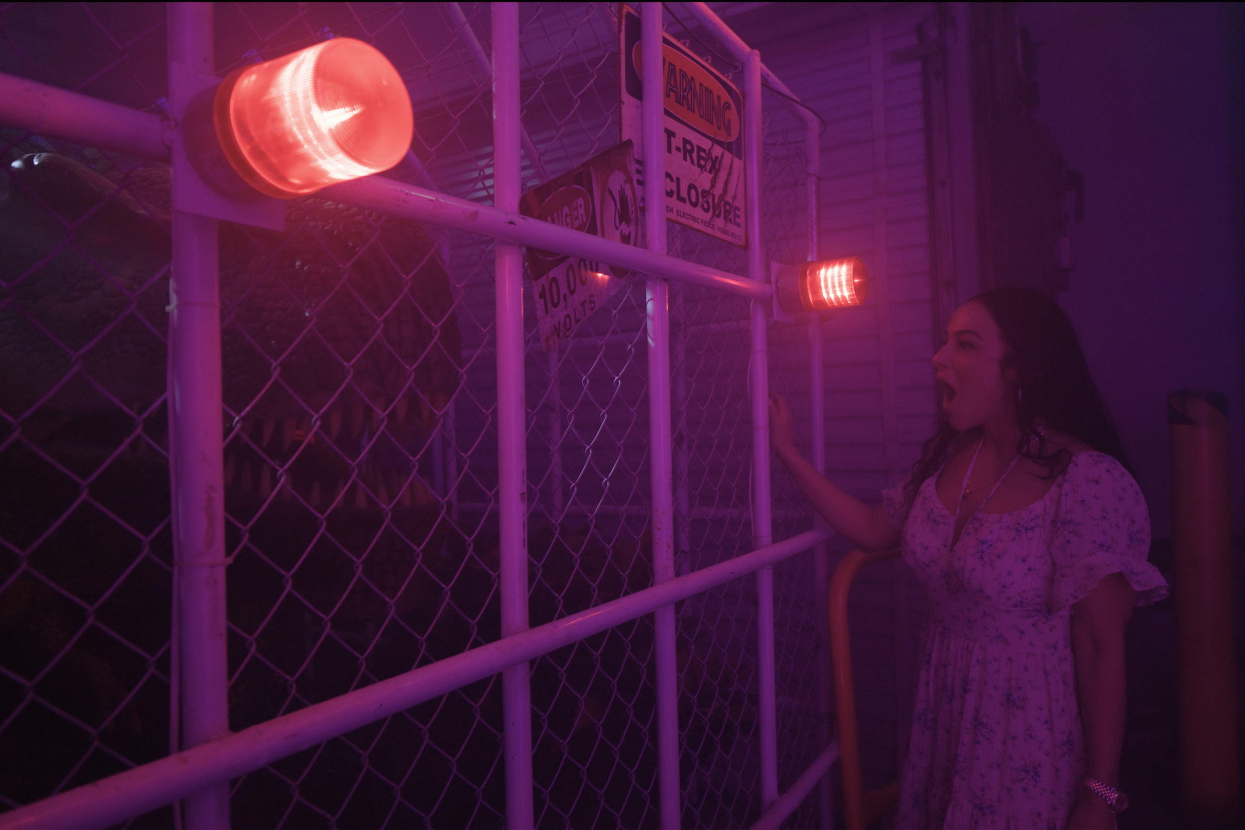 Jurassic Game Room - T-Rex